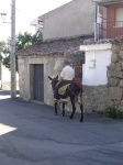 El tiempo se detiene en Navalmoral de la Sierra (Avila)
Avila