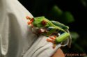 10002-costa_rica2352