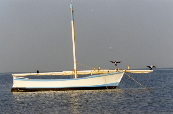 Argin Bank National Park - Mauritania