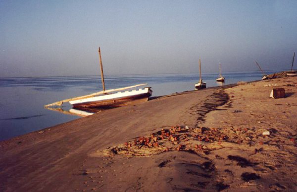 Argin Bank National Park - Traditional frisher ships - Mauritania