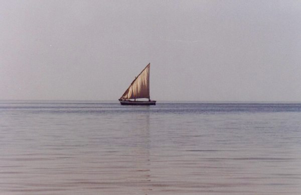 Argin Bank National Park - Barco de vela - Mauritania