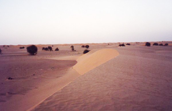 Desierto del Sahara en Benichab. - Dunes after sunset in Benichab.