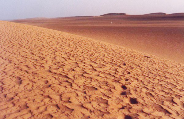 Dunas en el desierto del Sahara - Mauritania