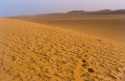 Ir a Foto: Dunas en el desierto del Sahara 
Go to Photo: Sahara Desert