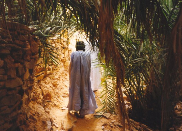 Los Hombres del Oasis de Terjit. - Mauritania