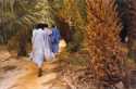 Ir a Foto: Los Hombres del Oasis de Terjit. 
Go to Photo: Desert men in the oasis