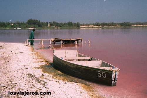 Rose Lake or Retba Lake - Senegal
Lago Rosa (cerca de Dakar) - Senegal