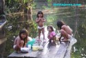 Go to big photo: Children playing in the Amazon Forest - Brasil - Brazil.