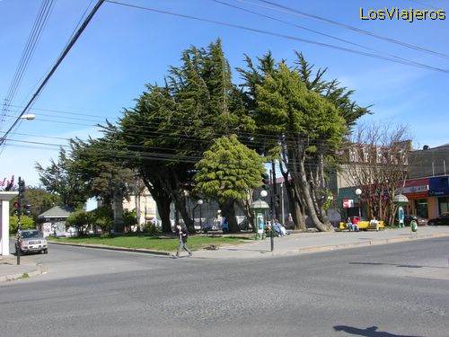 Streets of Punta Arenas - Chile
Punta Arenas. Av Colon - Chile