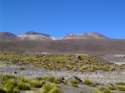 Andinan landscape - Chile
