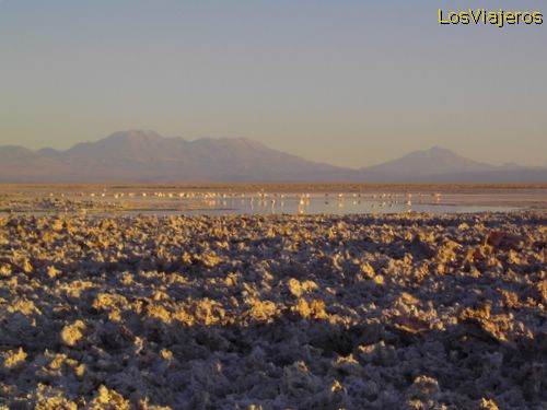 Andinan landscape - Chile
Lagunas Altiplanicas - Paisaje Andino - Chile