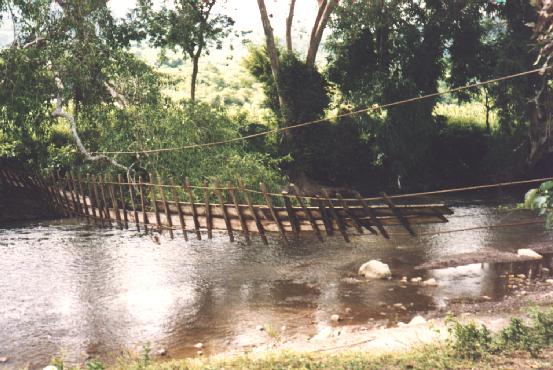 Alrededores de los yacimientos arqueologicos de Copan - America
Rain forest near of Copan - America