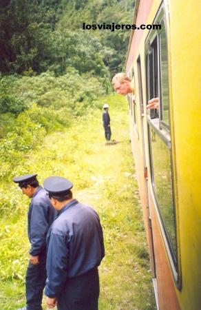 Train to Machu Pichu - Peru
Tren del Machu Pichu - Peru