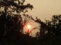 Ir a Foto: Precioso atardecer en la selva de Manu 
Go to Photo: Incredible sunset in the Manu forest