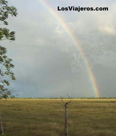 Foto del arco iris - Punta Cana - Dominicana Rep.
The rainbow - Punta Cana - Dominican Rep.