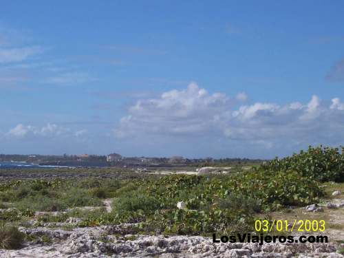 Casas de famosos - Punta Cana - Dominicana Rep.