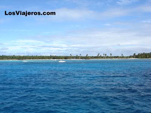 Coconuts trees and Beaches- Punta Cana - Dominican Rep.
Cocoteros y playas - Punta Cana - Dominicana Rep.