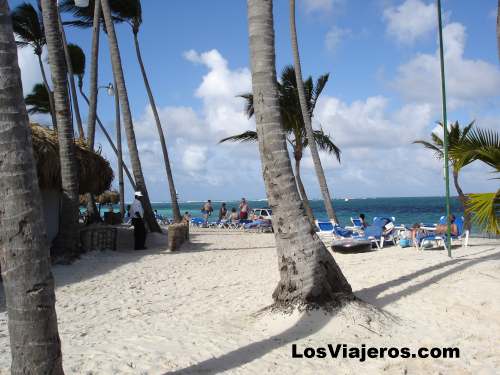 Cocoteros y tumbonas - Puntacana - Dominicana Rep.