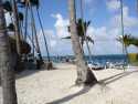 Cocoteros y tumbonas - Puntacana - Dominicana Rep.
Beach chairs and coconut Trees- Puntacana - Dominican Rep.