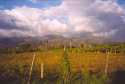 Lanscapes inside of the Dominican Republic