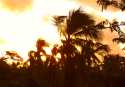 Ampliar Foto: Amanecer desde la habitación del hotel - Punta Cana
