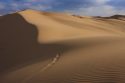 Sand dunes National Park