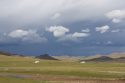 grassland in Mongolia