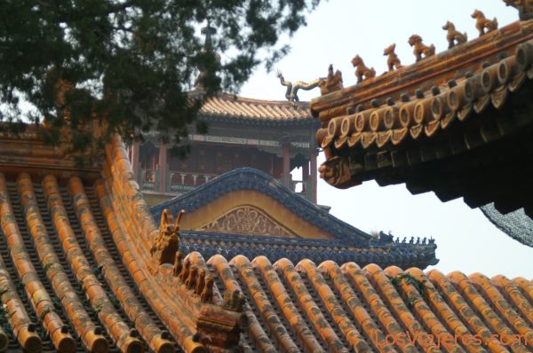 Tejados de Ciudad prohibida - Pekin - China