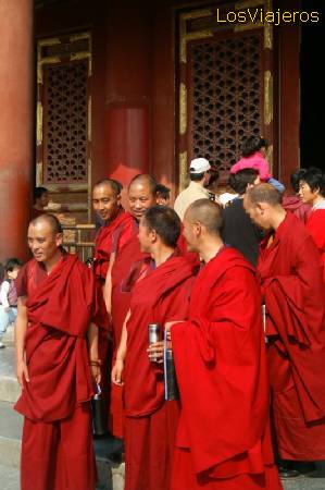 Atypical visitors -The Forbidden City -Beijing- China
Visitantes de excepción -La Ciudad Prohibida -Beijing - China