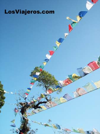 Banderas de oracion - Darjeeling - India