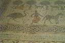 Go to big photo: Mosaics -Mount Nebo - Jordan