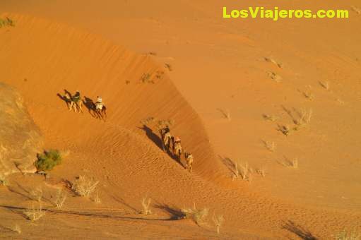 Caravana en el desierto -Wadi Rum- Jordania