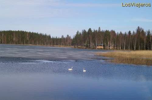 Lago semihelado - Paisajes del Centro de Finlandia
Almost frozen lake. Landscapes of Central Finland