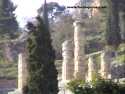 Ir a Foto: Templo de Apolo en Delfos 
Go to Photo: Apollo's Temple in Delphos