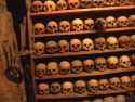 Ampliar Foto: Esqueletos en el monasterio