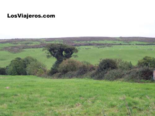 Typical Landscape of the central Ireland
Paisaje típico del interior de Irlanda