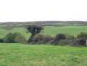 Typical Landscape of the central Ireland