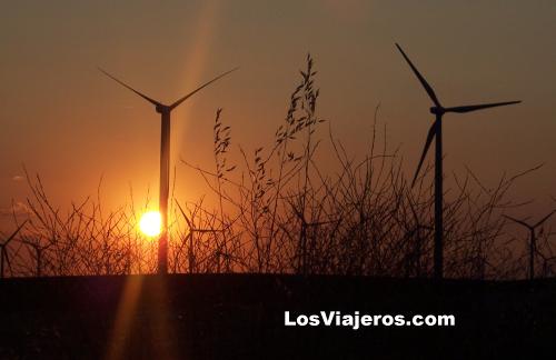 Field of windmill or wind generators - Albacete - Spain
Campo de aerogeneradores - Albacete - Espaa