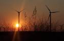 Go to big photo: Field of windmill or wind generators - Albacete - Spain