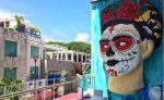 Imagen: Amoplayadelcarmen