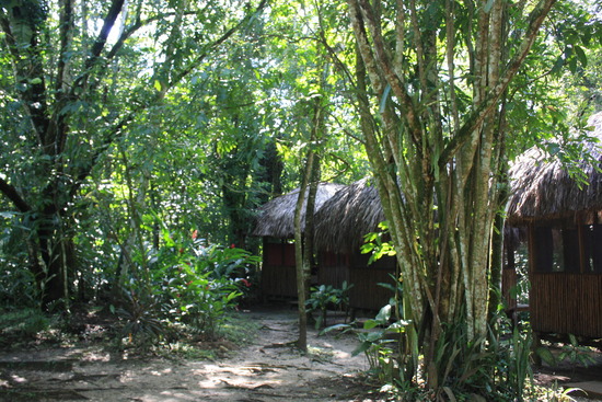 Una de las originales propuestas del sitio, en la selva chiapaneca, cerca de Palenque, Una pagina para el turismo alternativo en México 2