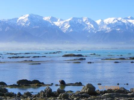 KAIKOURA (LEON MARINO SALIENDO DEL AGUA), Archivo 03/01/2018 - Nueva Zelanda: Itinerario ambas islas