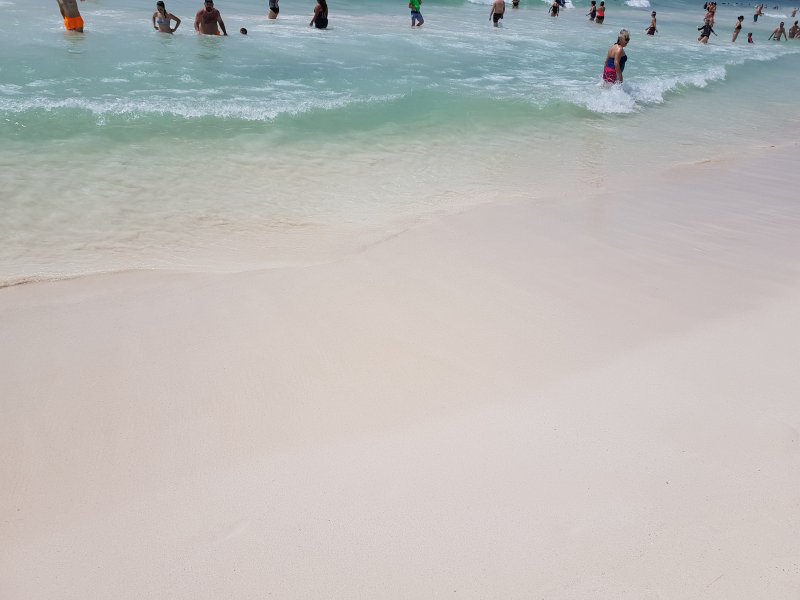 Archivo 09/10/2018 - Algas en las playas de Riviera Maya (México) 0