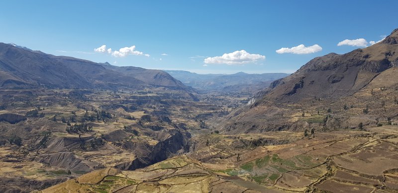 Arequipa y Cañon del Colca (Perú)