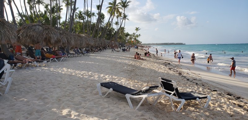 Algas (Sargazo) en playas de Punta Cana y Rep. Dominicana 1