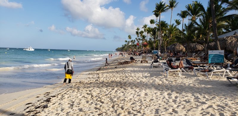 Algas (Sargazo) en playas de Punta Cana y Rep. Dominicana 0