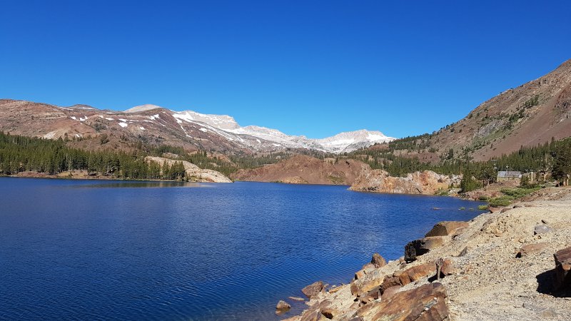 Cuándo abre Tioga Pass (Yosemite NP) este año!? Porra LV 1