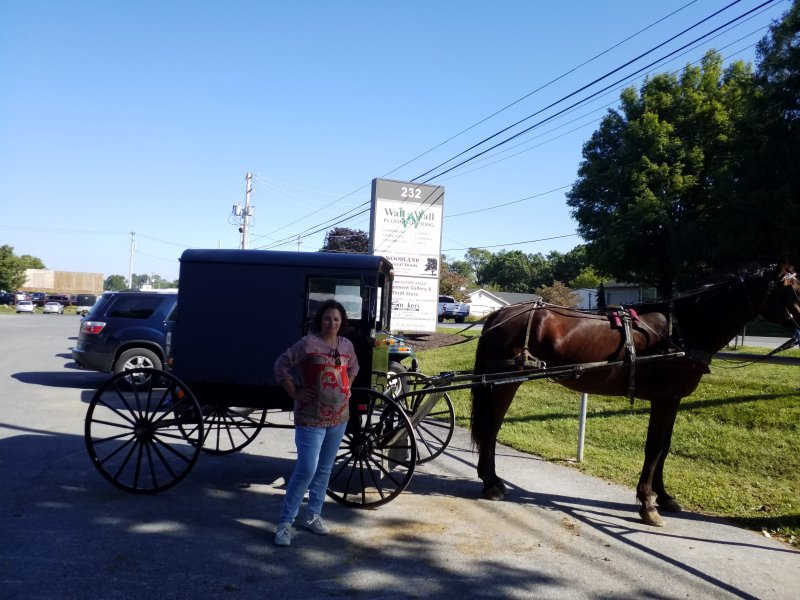 Condado Amish de Lancaster, Pennsylvania (USA) 1