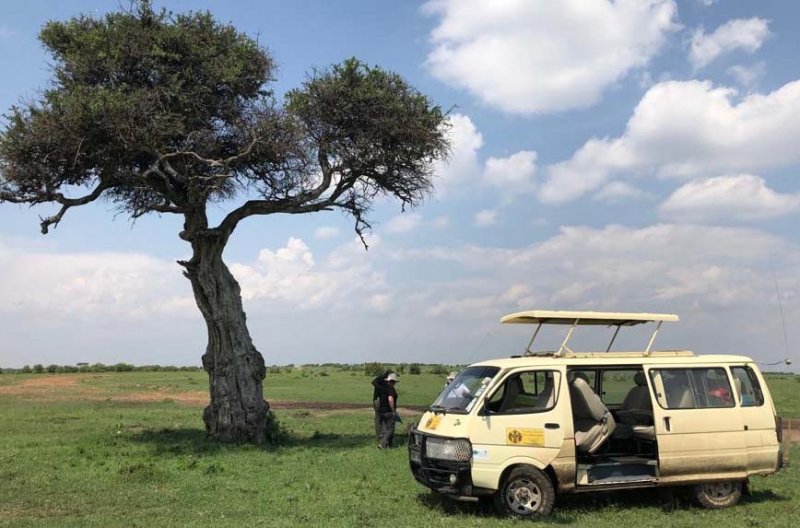 Masikio Safaris - Agencia local Kenia