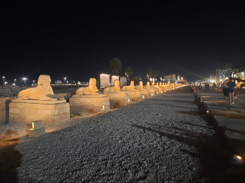 Avenida de las esfinges de noche, Templos de Karnak, Luxor: Esfinges, Museo - Luxor Este 0